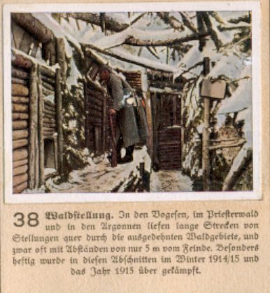 Weltkrieg 1 / World War 1 / Grande Guerre — Waldstellung