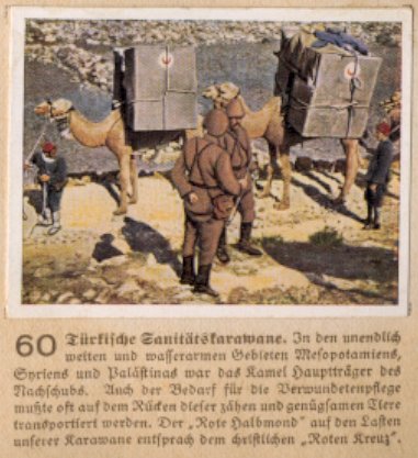 Weltkrieg 1 / World War 1 / Grande Guerre — Türkische Sanitätskarawane