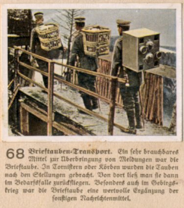 Weltkrieg 1 / World War 1 / Grande Guerre — Brieftauben-Transport