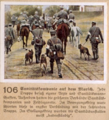 Weltkrieg 1 / World War 1 / Grande Guerre — Sanitätskompanie auf dem Marsch