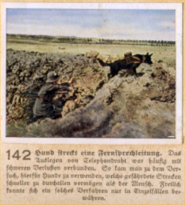 Weltkrieg 1 / World War 1 / Grande Guerre — Hund streckt eine Fernsprechleitung